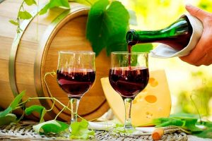 gastronomía - rutas vitivinícolas